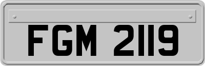 FGM2119