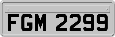 FGM2299
