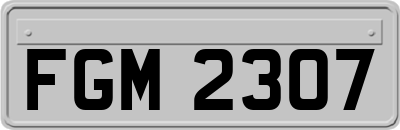 FGM2307