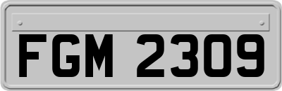 FGM2309