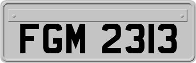 FGM2313