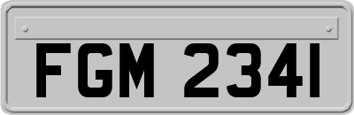 FGM2341