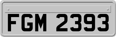 FGM2393