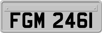 FGM2461