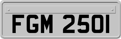 FGM2501