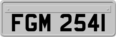 FGM2541