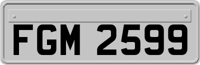 FGM2599