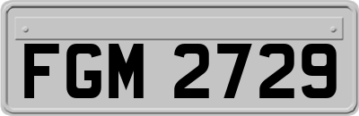 FGM2729