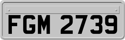 FGM2739