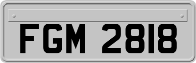 FGM2818