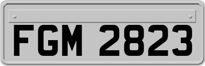 FGM2823