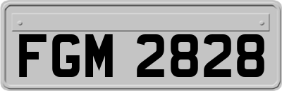 FGM2828