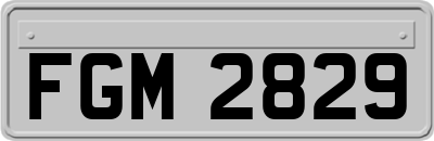 FGM2829