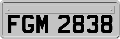 FGM2838
