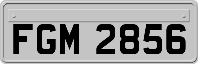 FGM2856