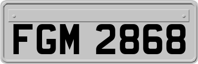 FGM2868
