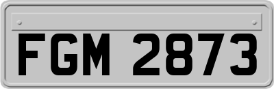 FGM2873