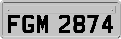 FGM2874