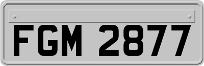 FGM2877