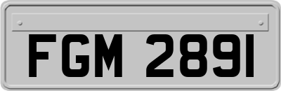 FGM2891