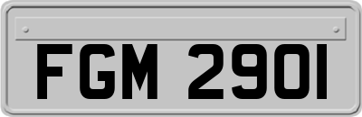 FGM2901