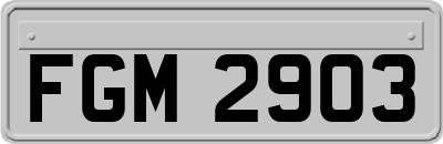 FGM2903