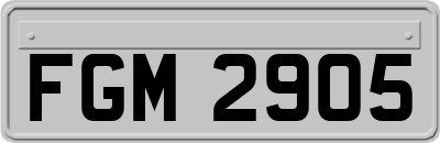 FGM2905