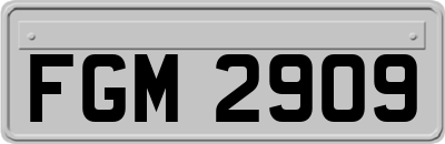 FGM2909
