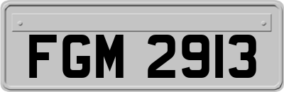 FGM2913