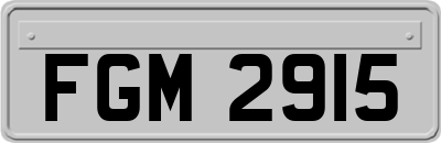 FGM2915