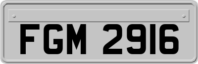 FGM2916