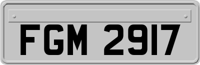 FGM2917