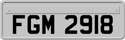 FGM2918