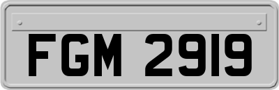 FGM2919