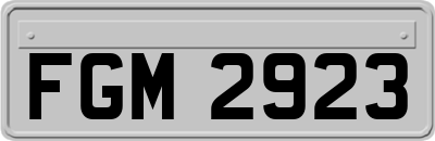 FGM2923