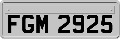 FGM2925