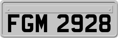 FGM2928