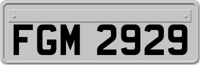 FGM2929