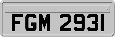FGM2931