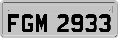 FGM2933