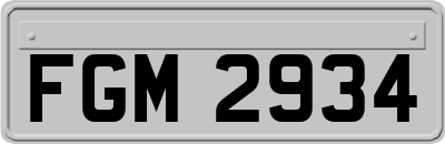 FGM2934