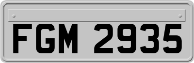 FGM2935