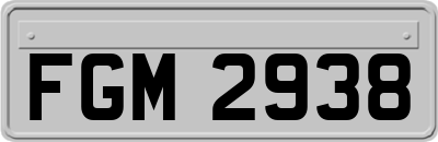 FGM2938