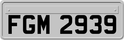 FGM2939