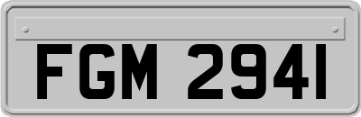 FGM2941