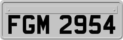 FGM2954