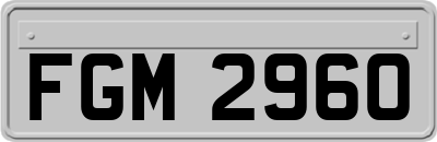 FGM2960