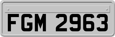 FGM2963