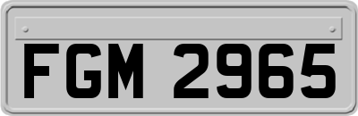 FGM2965