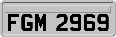 FGM2969